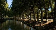 Lune de Miel - Canal Road